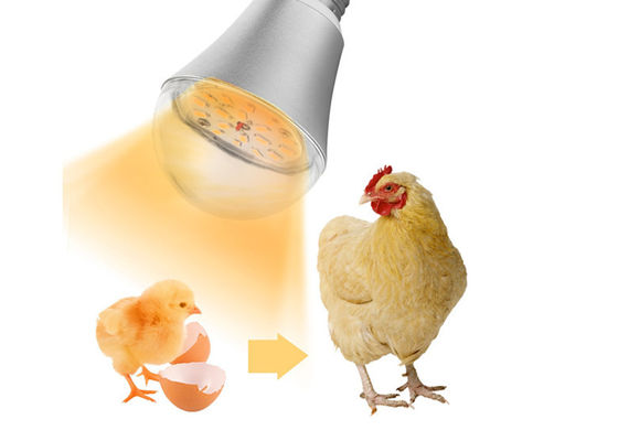 चिकन फार्म पनरोक एलईडी रोशनी रोशनी Dimmable 9W