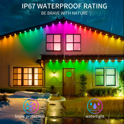 Pixel Light क्रिसमस रंगीन घर सजावट 2024 आरजीबी प्रोग्रामेबल एलईडी शेप आईपी65 वाटरप्रूफ हॉलिडे लाइटिंग