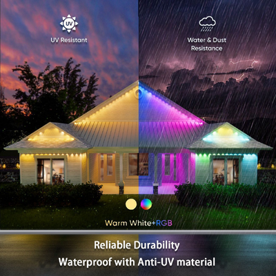 Pixel Light क्रिसमस रंगीन घर सजावट 2024 आरजीबी प्रोग्रामेबल एलईडी शेप आईपी65 वाटरप्रूफ हॉलिडे लाइटिंग