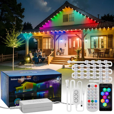 Pixel Light क्रिसमस रंगीन घर सजावट 2024 आरजीबी प्रोग्रामेबल एलईडी शेप आईपी65 वाटरप्रूफ हॉलिडे लाइटिंग